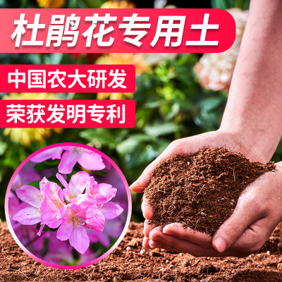 杜鹃花专用土营养土漫生活