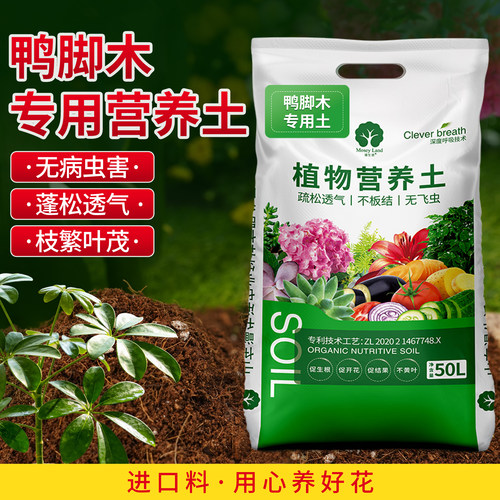 鸭脚木专用土七叶莲花土