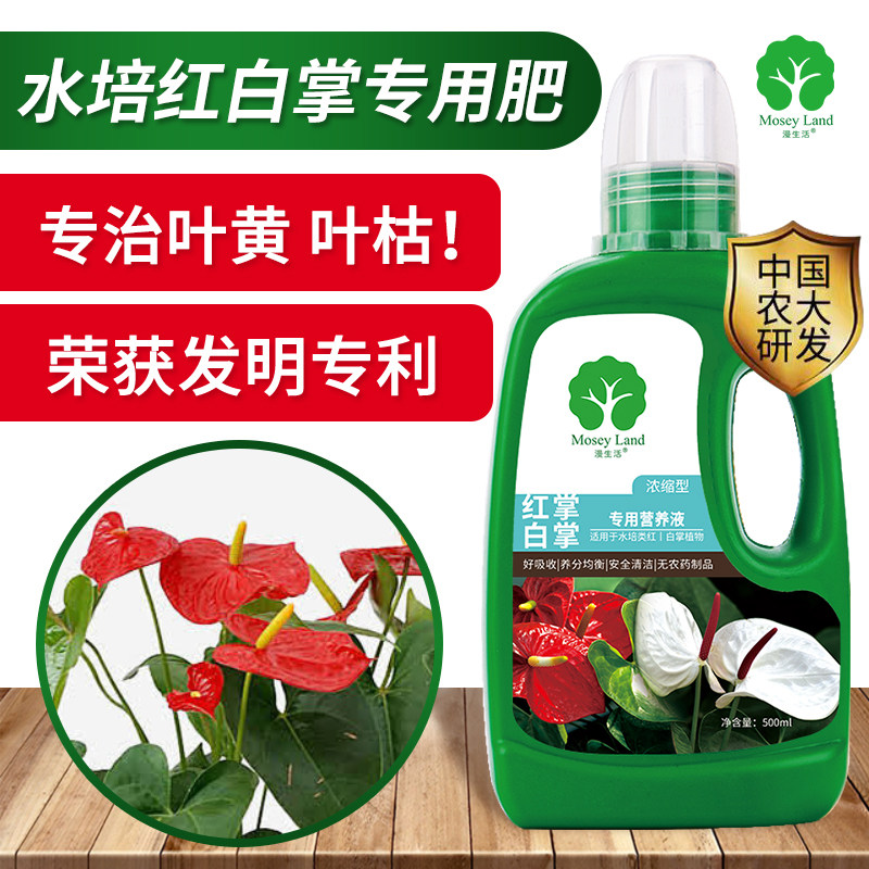 红掌专用肥料白掌营养液一帆风顺营养液红掌专用营养液白掌肥料