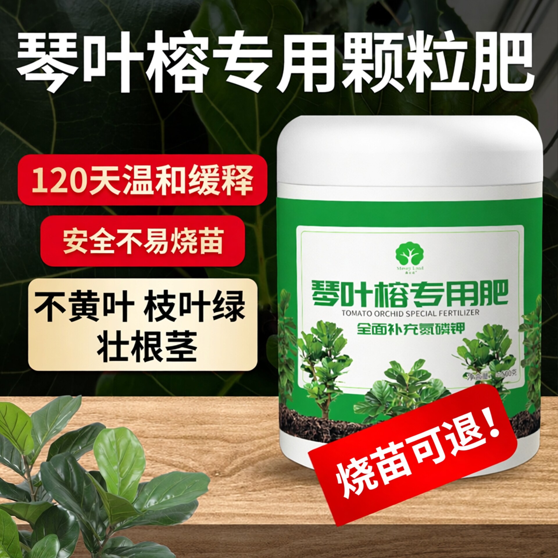 琴叶榕肥料专用琴叶榕营养液专用肥防黄叶落叶烂根专用颗粒肥
