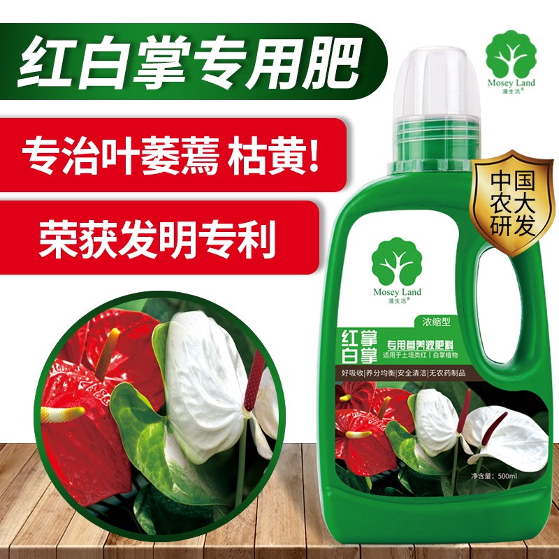 红掌专用肥料白掌营养液一帆风顺营养液红掌专用营养液白掌肥料