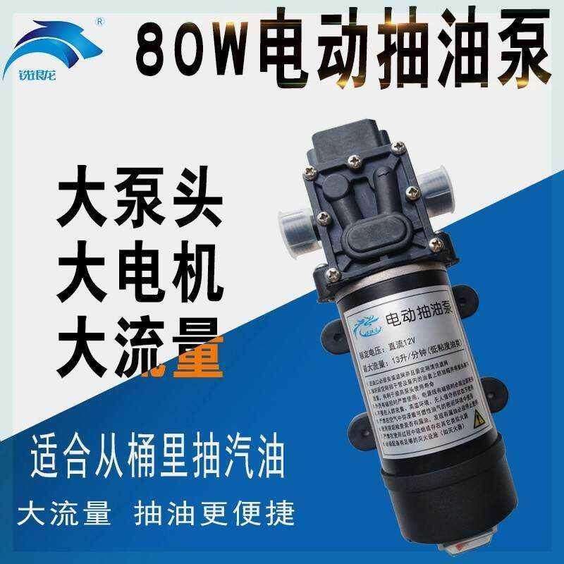 铣银龙 电动抽汽油泵 小型抽加油器汽车油箱抽油柴油自吸泵12v80w