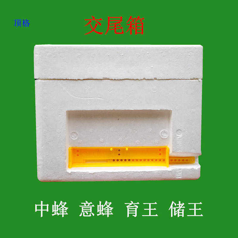 顶格泡沫交尾箱育王蜜蜂交尾箱小型蜂箱蜂王交尾小箱中蜂育王养蜂