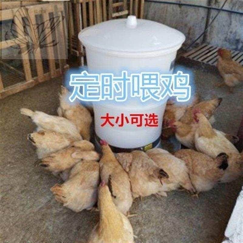 养鸡定时喂食器鸡鸭鹅全自动投料机喂鸡器自动智能养殖设备饲料桶