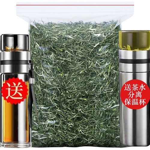 2026新茶毛尖茶叶信阳特级嫩芽