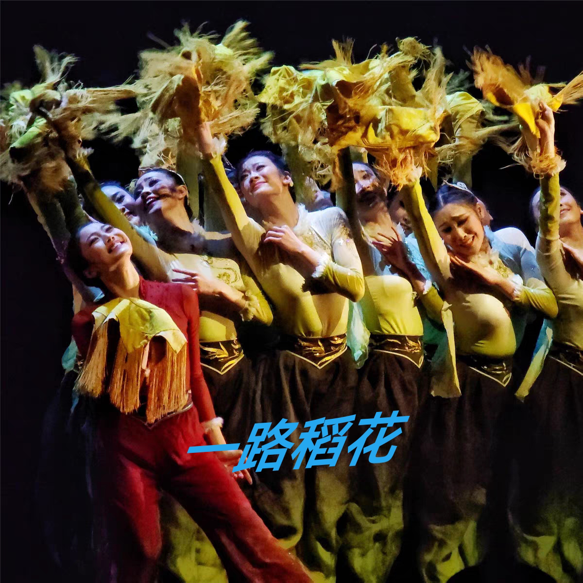 新款北舞一路稻花女子群舞民族民间舞毕业剧目丰收艺考剧目服秧歌