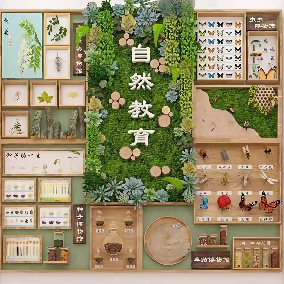 幼儿园环创主题墙自然教育大厅走廊文化墙教育主题环创墙面装饰