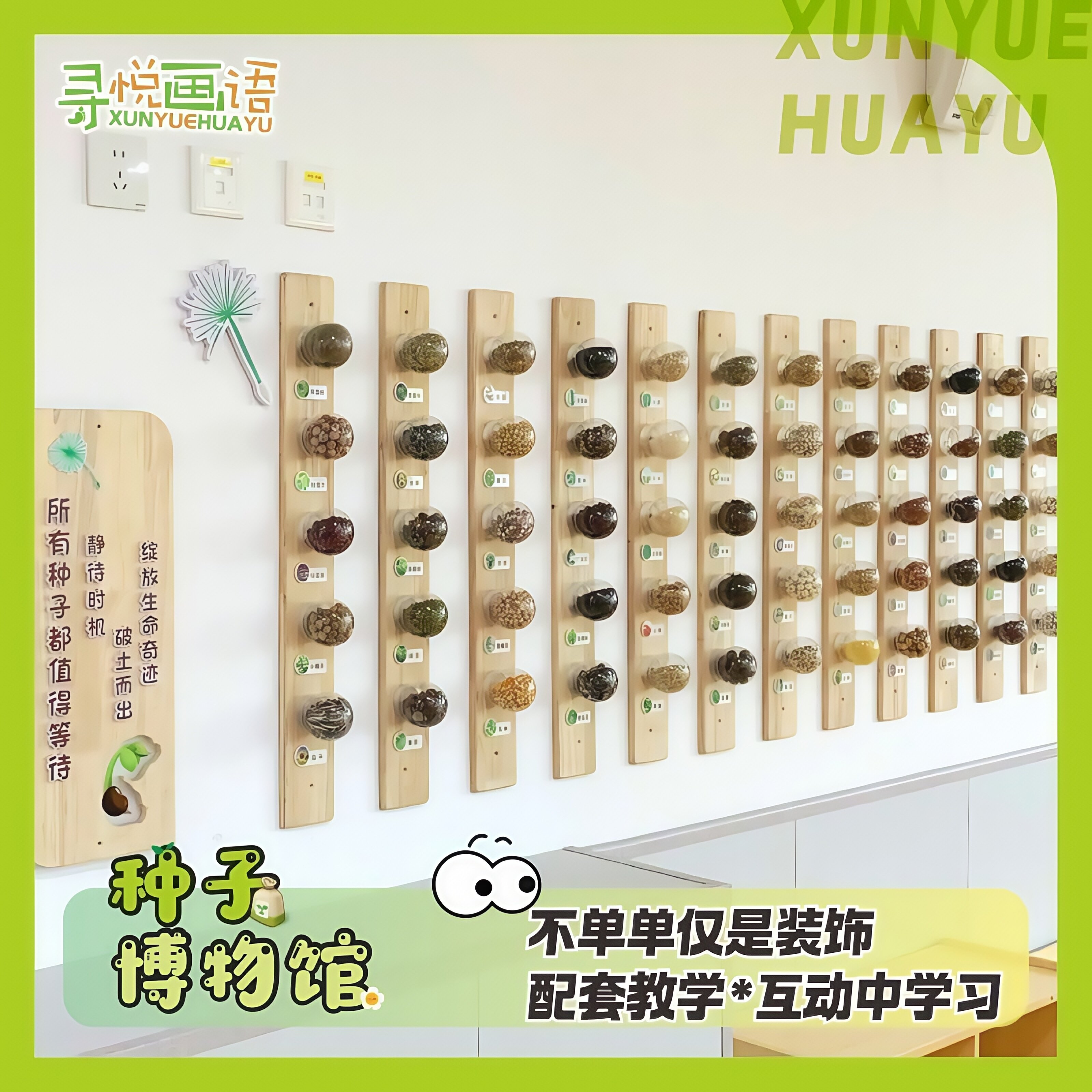 幼儿园环创种子博物馆墙面装饰主题墙成品植物角走廊楼道环创装饰