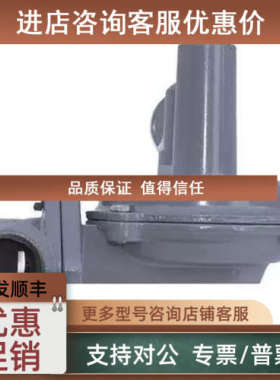 议价BELGAS减压阀P140