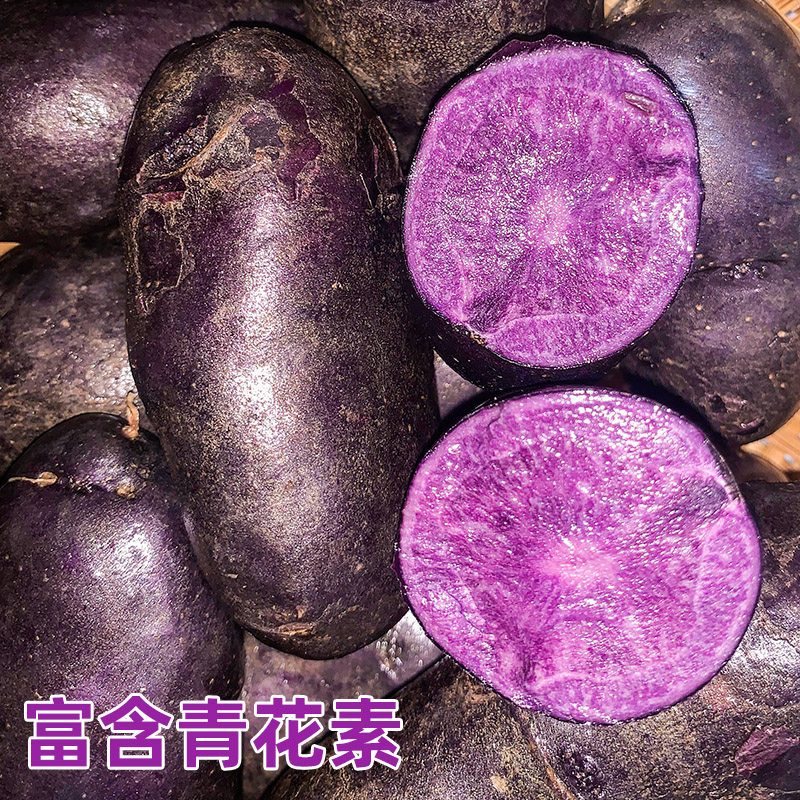 2025新鲜迷你紫土豆小土豆农家黑金刚黑美人黑土豆马铃薯5斤
