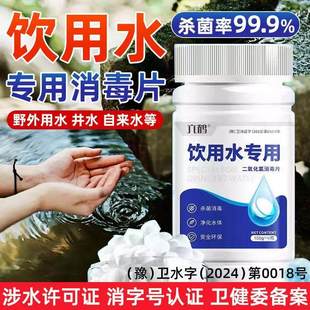 饮用水净水片户外净化水药片野外生存消毒片水井水消毒粉漂白食用