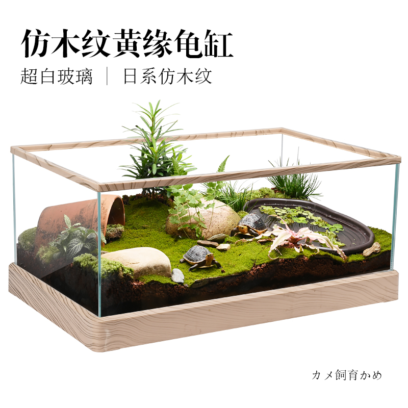 黄缘闭壳龟玻璃缸养安缘乌龟半水龟专用缸生态环境造景水陆养殖箱