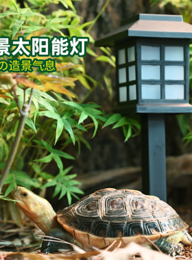 黄缘龟专用养殖箱造景太阳能灯爬宠安缘乌龟饲养缸布景装饰材料