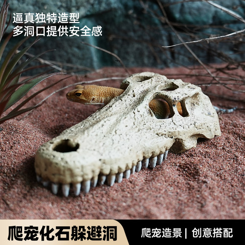 爬宠专用头骨躲避洞屋守宫蜥蜴蜘蛛蛇饲养箱鱼缸水族造景装饰摆件