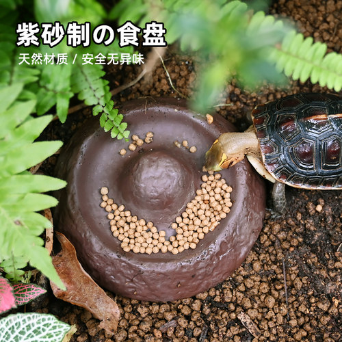 黄缘龟专用喂食盘水盘安缘台缘半水龟陶瓷喂食器乌龟喂食台喂水盘