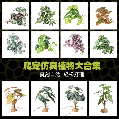 【官方推荐】：爬宠造景仿真植物