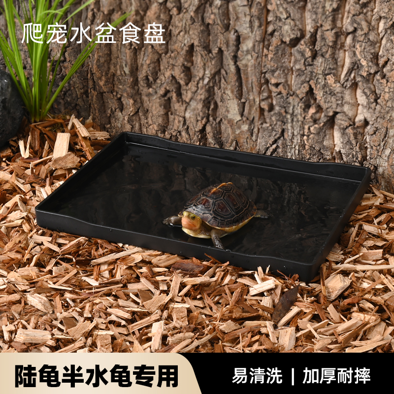 爬宠食盘黄缘乌龟半水龟陆龟泡澡喂食水盆蜥蜴角蛙守宫饲养箱用品