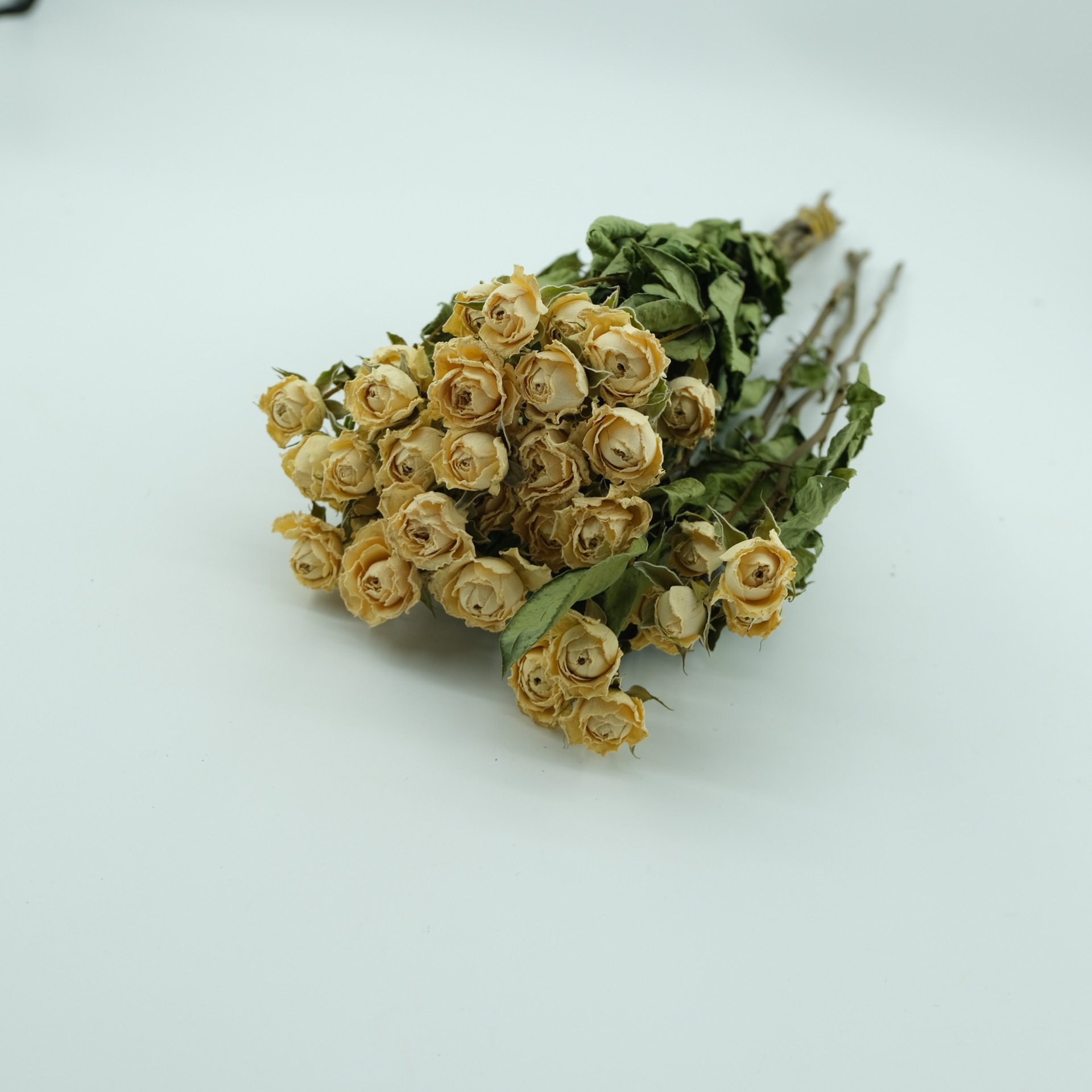 多头玫瑰干花  多头泡泡自然风干滴胶香薰蜡烛压花花材花束