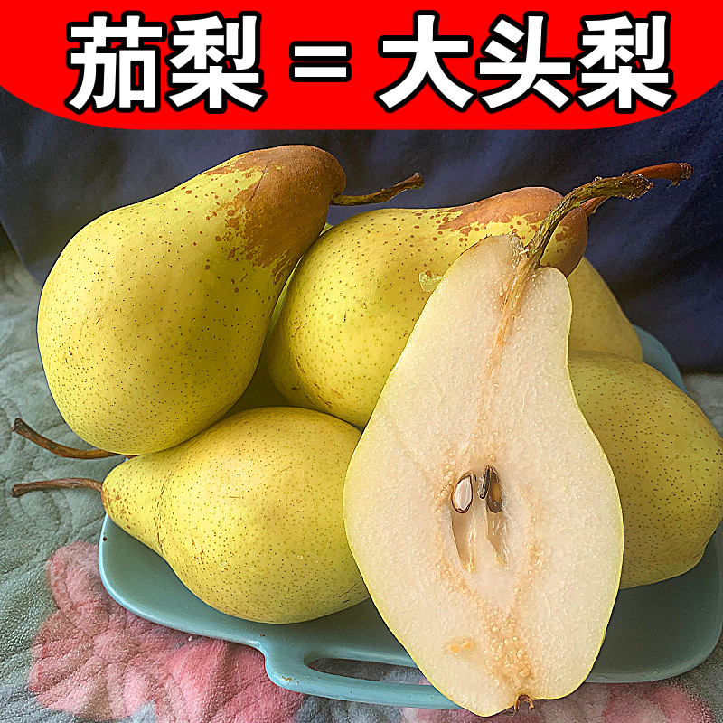 东北茄梨大头梨新鲜5斤包邮软糯梨子当季水果3非烟台太婆梨香蕉梨