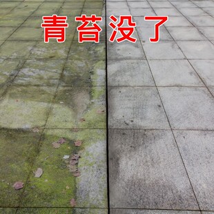 青苔清除剂水泥地面专用墙体去霉剂清洗液红砖青石板石头水池灭藻