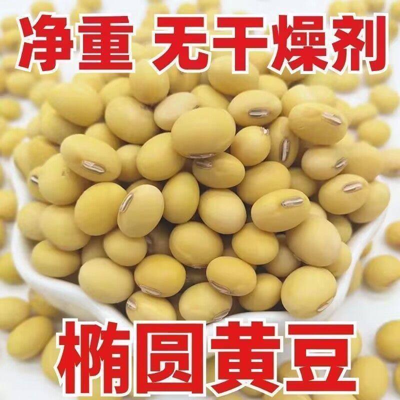 椭圆黄豆新货农家老品种土黄豆椭圆形黄豆大豆打豆浆笨黄豆炖菜