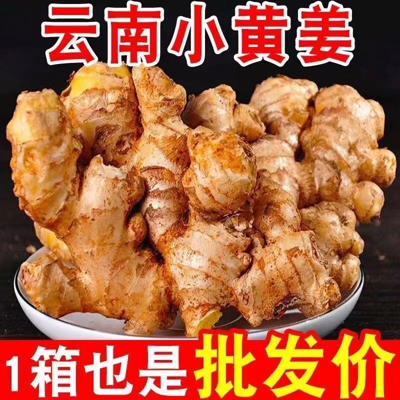 云南新小黄姜老姜生姜新鲜黄姜土姜现挖子姜嫩姜鲜姜嫩姜10斤包邮