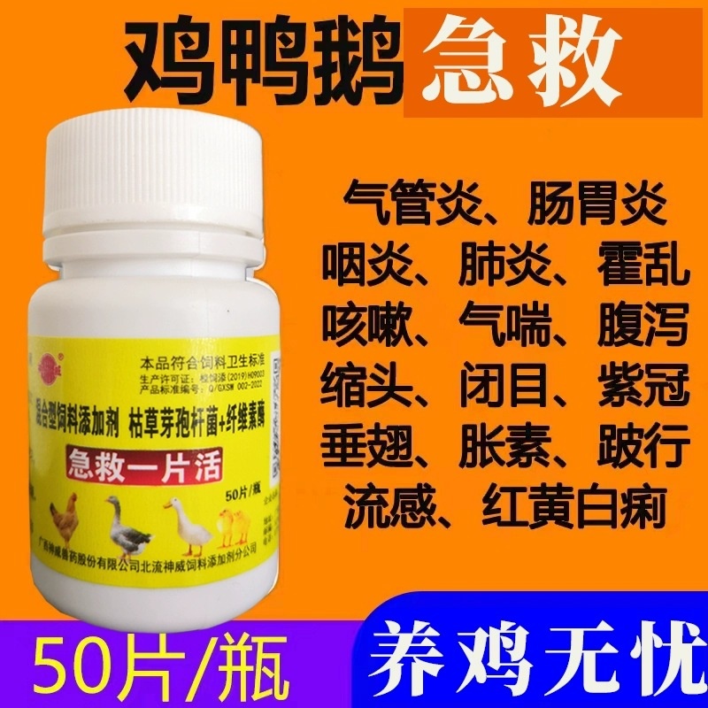 禽用鸡药片急救一片活鸡鸭鹅鸽子饲料添加剂鸡鸭鹅禽类鸡药大全药
