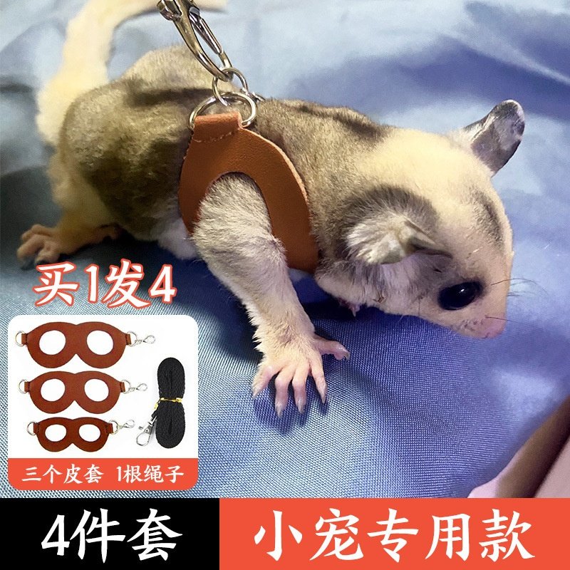 蜜袋鼯牵引绳外出防逃防咬绳子仓鼠金丝熊松鼠小宠用品道具