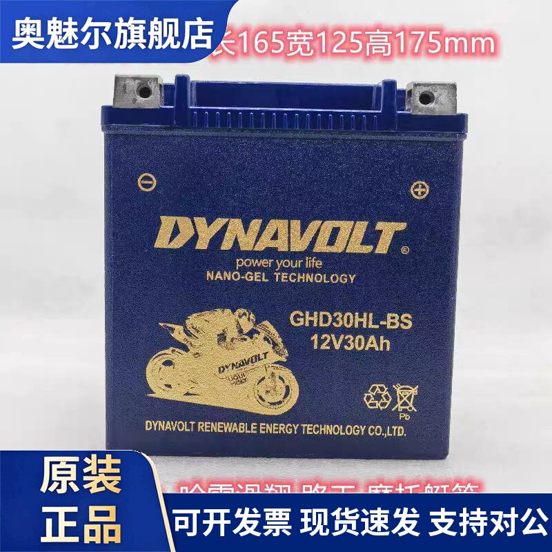 适用哈雷大滑翔电瓶路王庞巴迪260摩托艇春风沙滩车12v30猛狮胶体电池