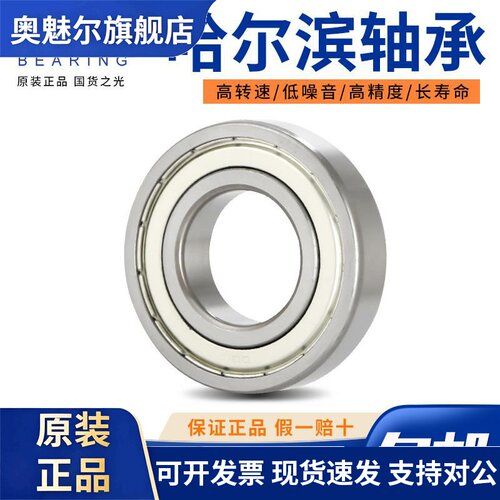哈尔滨轴承6007 6008 6009 6010 6011 6012 6013 6014Z 2RS ZZ 2Z
