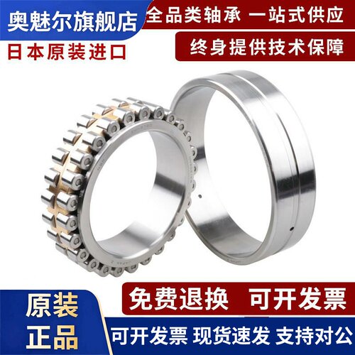 NSK圆柱滚子轴承N216 217 218 219 220 221 222W EW ET EM C3