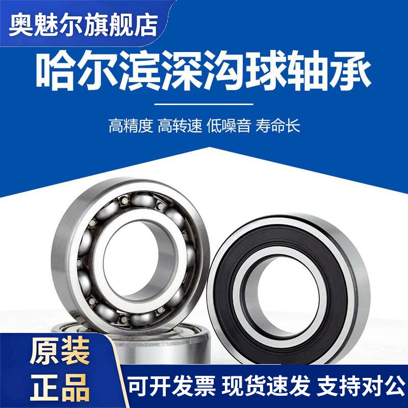 哈尔滨轴承6302 6303 6304 6305 6306 6307 6308 6309ZZ 2Z 2RS