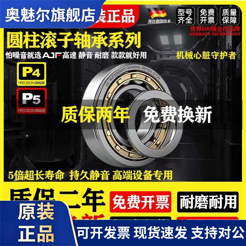进口圆柱滚子轴承大全NUP204 NUP205 NUP206 NUP207 NUP208 209EM