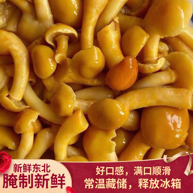 东北新鲜滑子菇1000克袋装食用菌新鲜八珍菇养殖菌草菇清水保鲜菇