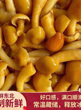 东北新鲜滑子菇1000克袋装食用菌新鲜八珍菇养殖菌草菇清水保鲜菇