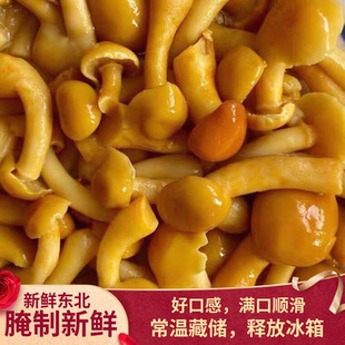 东北新鲜滑子菇1000克袋装食用菌新鲜八珍菇养殖菌草菇清水保鲜菇