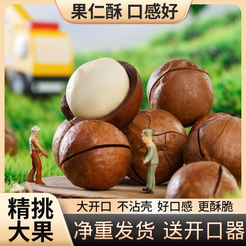 新货特价】夏威夷果装奶油味薄皮坚果炒货休闲零食干果过年货批发