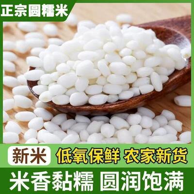 2025年新米正宗圆糯米特价5斤装东北圆粒糯米酒粽子饭团醪糟青团