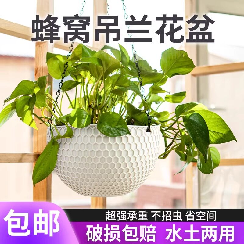 吊兰花盆壁挂式加厚绿萝盆栽吸水懒人塑料悬挂式网红垂吊植物专用
