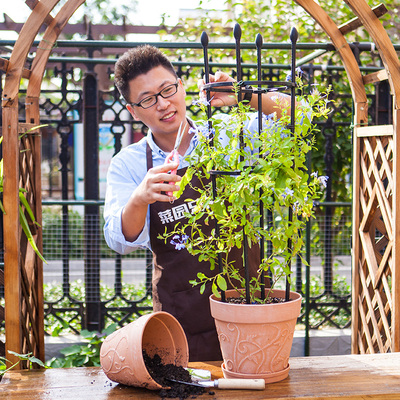 爬藤架花架圆柱架子阳台圆形架子