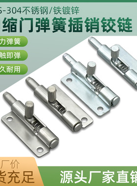 304不锈钢弹簧插销F6-20-N1A50WL/R伸缩门铰链可拆卸对称合页门销
