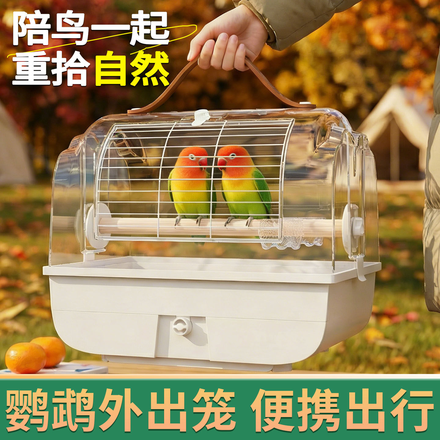 鹦鹉外出笼专用鸟笼别墅虎皮牡丹玄凤小太阳冬季外带包小型便携式,宠物/宠物食品及用品,宠物鸡/鸭/鸽笼,淘宝优惠券,粉丝福利购,淘宝优惠卷