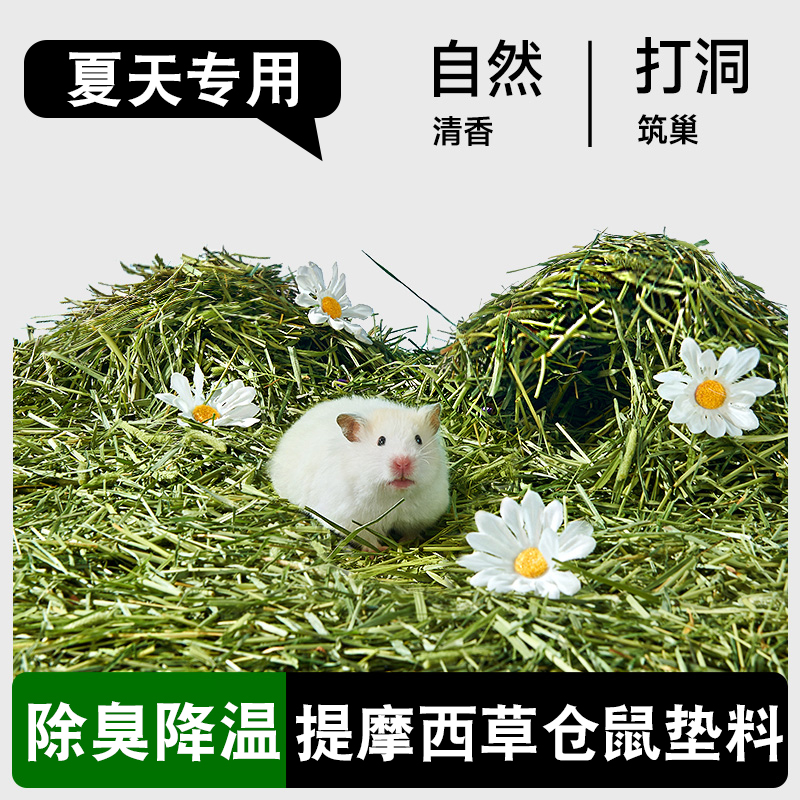 提摩西草仓鼠垫料除臭降温夏天用