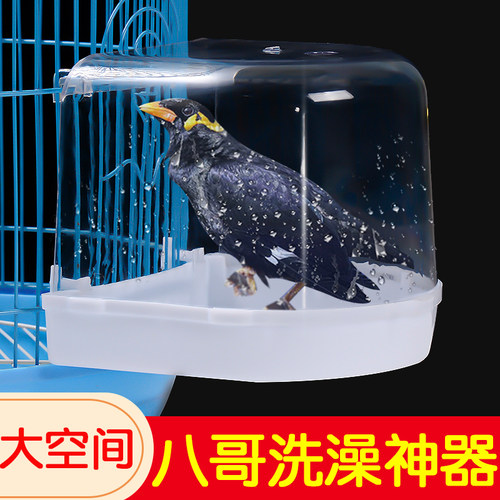 八哥洗澡神器专用笼洗澡盆