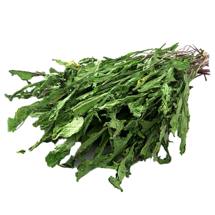 天然蒲公英草兔子荷兰猪龙猫干草牧草宠物成兔幼兔饲料零食50g