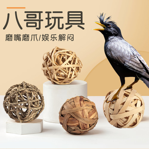 八哥玩具啃咬玩具解闷自嗨