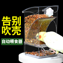 喂鸟下料神器碗防溅 鹦鹉自动喂食器谷壳分离鸟食盒防撒一体机挂式