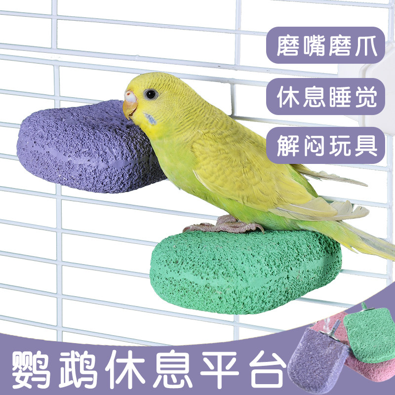 鹦鹉休息平台八哥专用玩具磨爪棒磨砂站杆磨嘴器脚站台磨牙石站架,宠物/宠物食品及用品,鸟秋千,淘宝优惠券,粉丝福利购,淘宝优惠卷