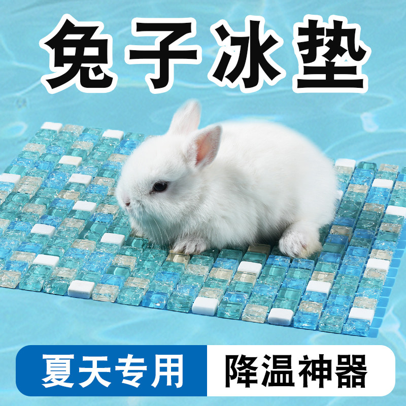 兔子冰垫夏天降温神器龙猫仓鼠冰屋宠物降温板专用凉垫夏日季用品,宠物/宠物食品及用品,散热板,淘宝优惠券,粉丝福利购,淘宝优惠卷