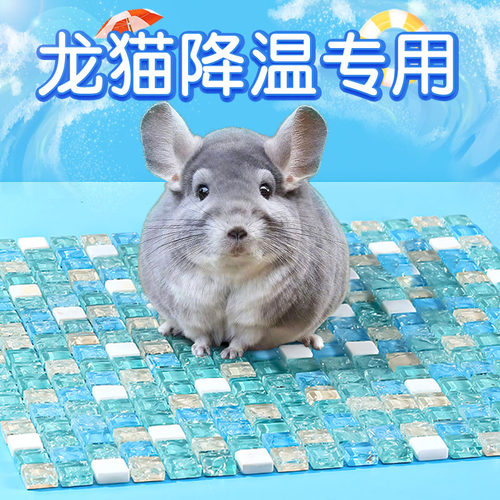 宠物龙猫降温用品冰垫凉席